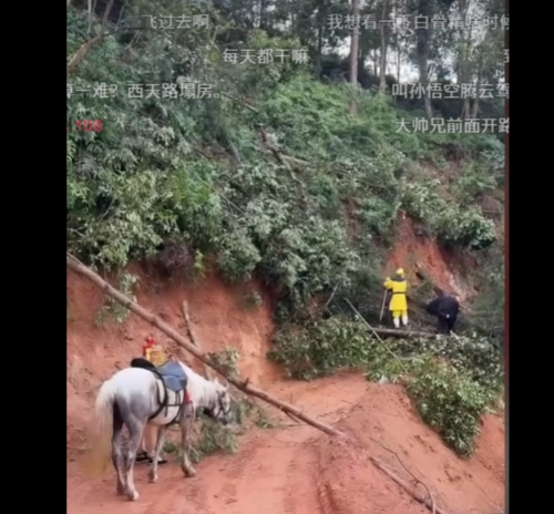 直播西天取经爆火最复古的形式最先进的基建(图19)